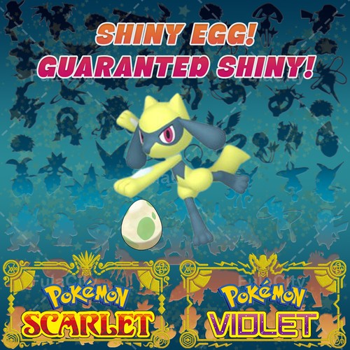 Riolu pokemon viola scarlatto - pokemon,